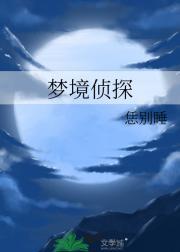 梦境侦探